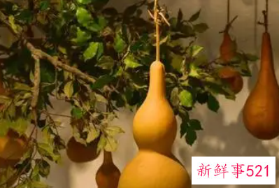 客厅明财位摆放什么招财