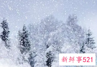 在夏天梦见冬天