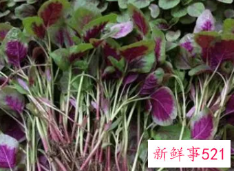 苋菜的功效有什么
