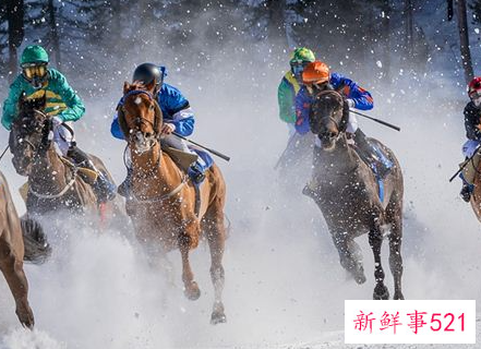 梦见赛马有什么征兆呢