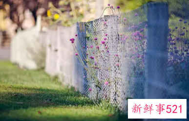 清晨正能量的激励语