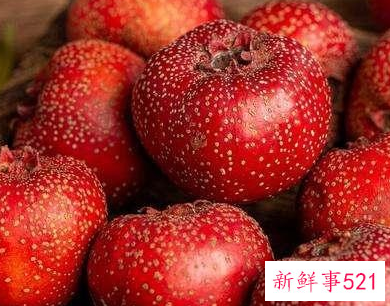 什么水果含维生素最高