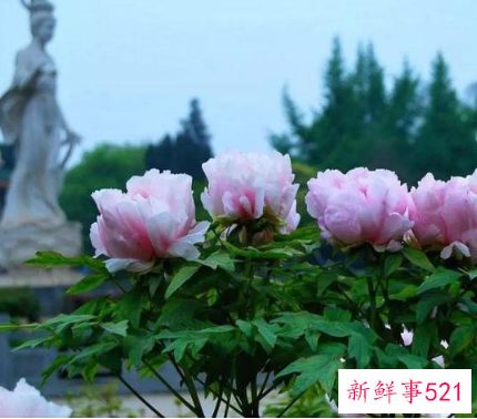 五一自驾游玩好去处