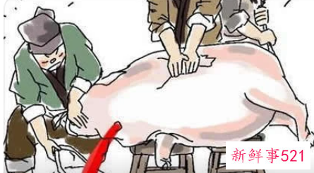 梦见杀猪是什么征兆