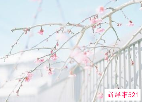 女生该怎样打扮自己