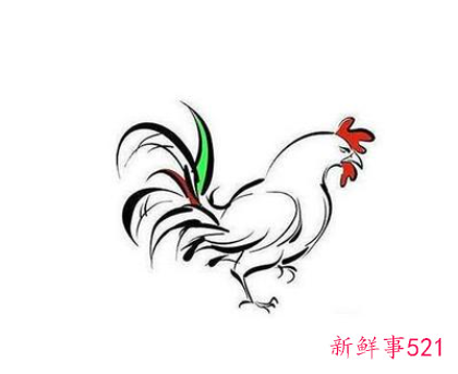 生肖鸡和什么属相相冲