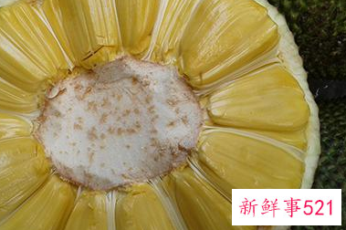 菠萝蜜一次性吃太多会怎样