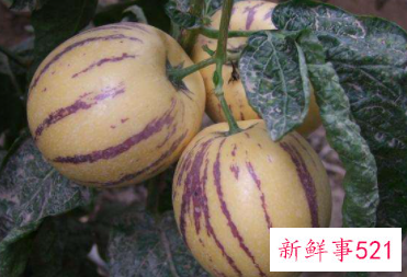 人参果有什么功效