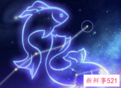 为什么双鱼座的老板多