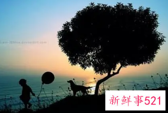 梦见自尽的寓意