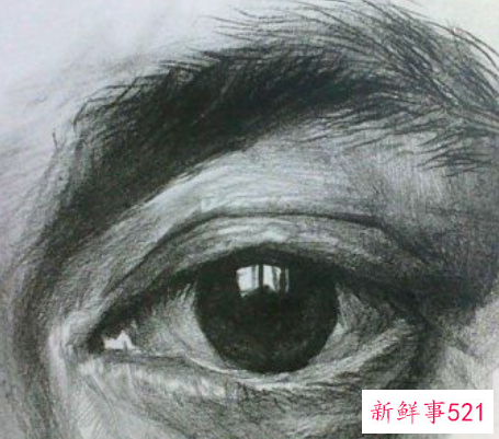 素描画眼睛的步骤图 眉毛