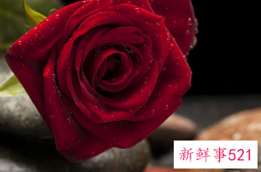 让人无法看透的生肖女