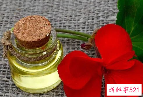 天竺葵精油的作用有哪些