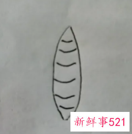 蝴蝶的翅膀花纹怎么画