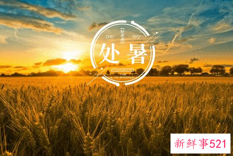 处暑诗词有哪些