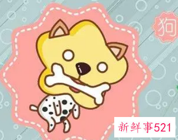 属狗的幸运色是什么颜色