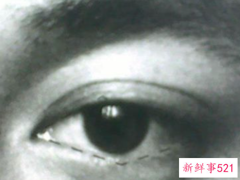 素描画眼睛的步骤图 眉毛