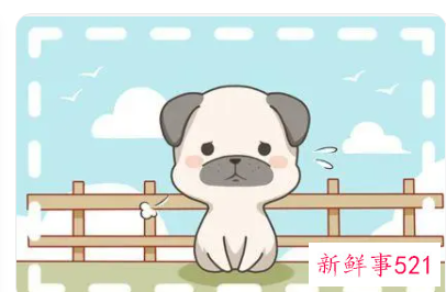 2022年下半年复合的生肖男