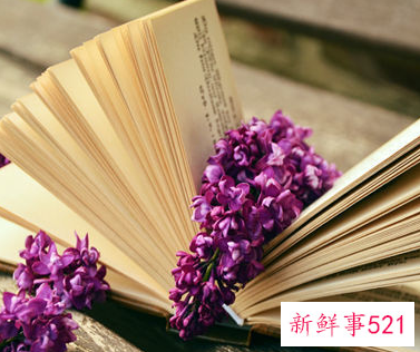 中层干部自荐理由