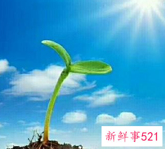 男生喜欢蓝色是什么性格