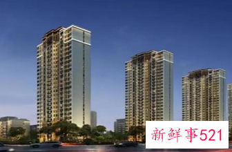 公寓不好卖为什么还要建