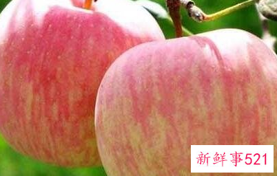 排黑色素最强的水果