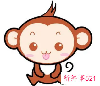 属猴的幸运颜色是什么