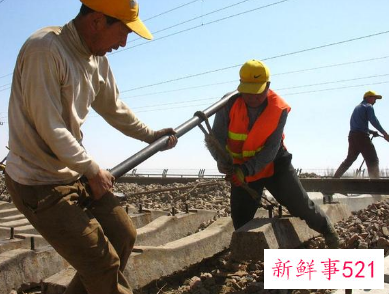 2023年新农合缴费截止时间