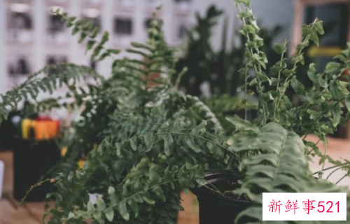 越来越漂亮的星座女