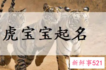 属虎男孩取名字寓意好的字