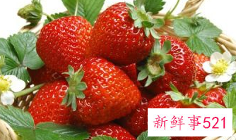 草莓怎么保存到夏天