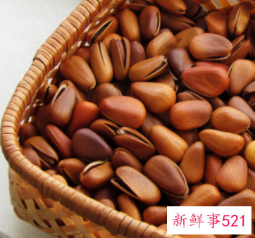 野生红松子的功效与作用