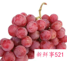 做梦梦见摘红提