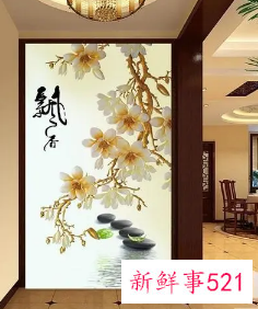 正对大门挂什么画旺财