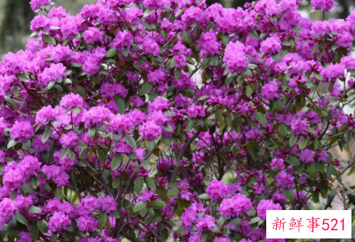 千里之外这些星座的感情又如何经得住考验