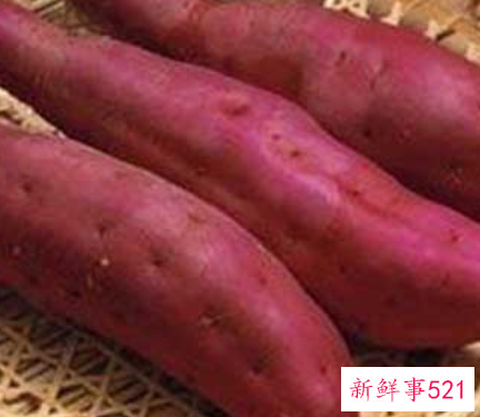 红薯的营养价值怎么样