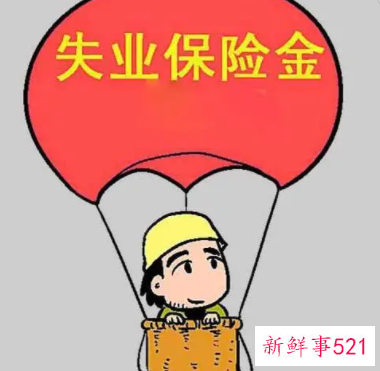 怎样办理失业保险