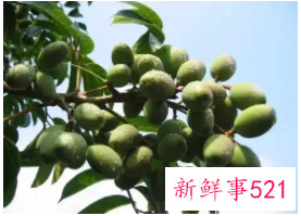 6类食物美容除皱最有效