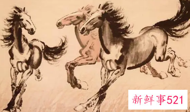 属马的做什么生意最旺