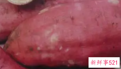 梦见很多红薯有什么预兆