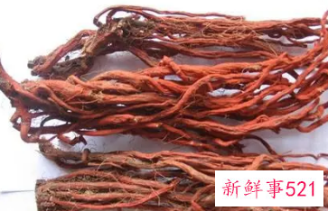 丹参的副作用与禁忌症