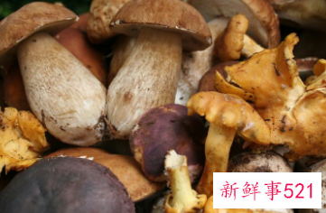 松茸的功效与作用