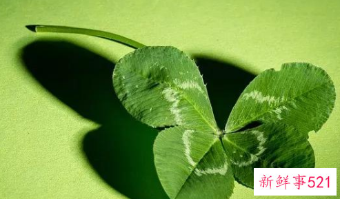 西班牙吉利数字