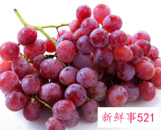 做梦梦见摘红提