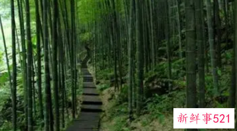 梦见小路是什么意思