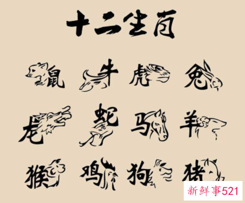 生肖的风水功用有哪些