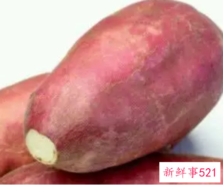 红薯的营养价值怎么样