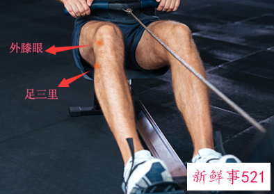 足三里的准确位置图片