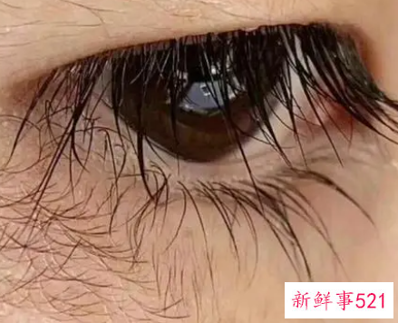 睫毛生长液有哪些