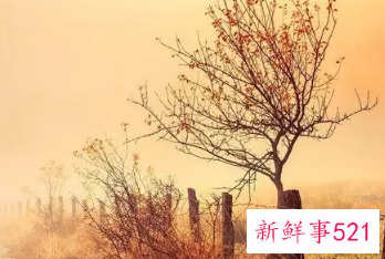 80后女网名简单大气